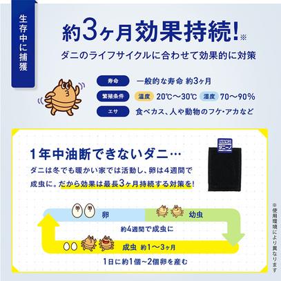 ダニーノの交換時期