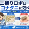 ダニ捕りロボはコナダニに効く？